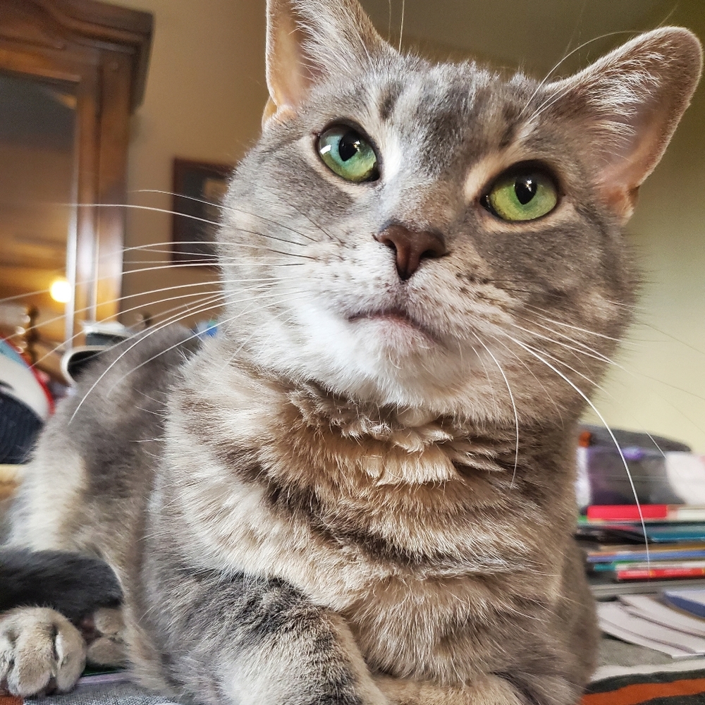 Meet your Posher, Michele